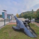 열린악기 이미지