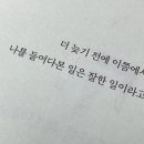 김태균의 이제그냥 즐기려고요 이미지