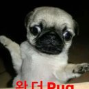 월 이미지