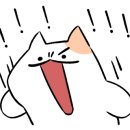 나주포차 이미지