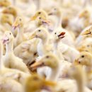 김성태 농장 이미지