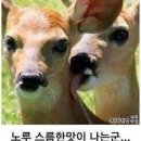 굽는나먹는너 이미지