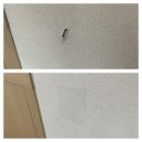 초읍동-07 | 찢어진벽지부분수리 티안나게 가리기 후기