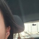 폭스피어싱 이미지