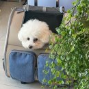 미공디자인 이미지