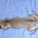 생활요가 이미지