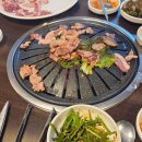 낙동생오리 이미지