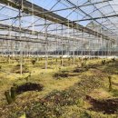 남진농장 이미지