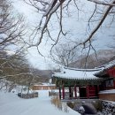 불회사 | 나주 불회사 눈 오던날 산책
