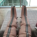 에이치큐브 산후조리원 이미지