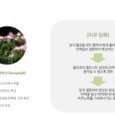 코스메틱대구지사