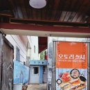 오토리스시 이미지