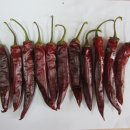 경북농업기술원 영양고추시험장 이미지