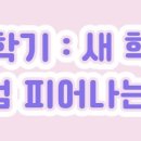 다원태권도 이미지