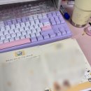 2-5주차 : 백수 = 극심한 빠순생활을 하는 여자