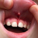 우리동네이비인후과의원 이미지