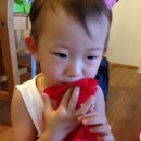 (주)한국코스코 - 4729 | (주)한국코스코