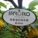 억수 이미지