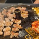 미가정세교 | 조사장 휴가만 기다려요 일상