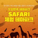 사파리체험테마파크 이미지