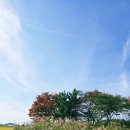 늘푸른 골프 | 국내 골프투어 남해 아난티 cc 11월 가을 바다와 단풍 노캐디 라운딩 후기