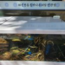 할머니추어탕자양점 이미지