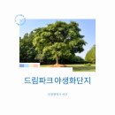 인천 아이와 가볼만한곳 드림파크 야생화단지 평일 저녁 방문 후기