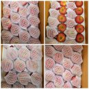 맹순이농장 이미지