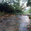 청일관광농원 이미지