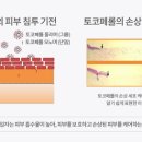 폰당폰당 이미지