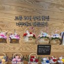 교동24시 이미지