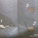 에스메딕 이미지