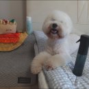 주식회사 호테크 | 안전한 향균탈취제 베베돔에 대해서 알아보아요