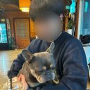 환이조아 이미지