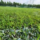 선동잔디구장 천연잔디구장 이미지