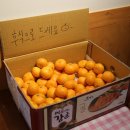 유미카츠야당점 이미지