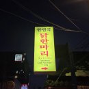 동대문닭한마리 | 종로 한민국 닭한마리 푸짐한 동대문 삼계탕 닭한마리 후기