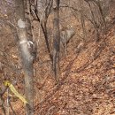 춘천새윤병원
