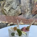 섬 | 제주 조천 젤라또 맛집 젤라떼리아섬 후기