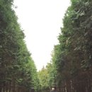 원영목장 이미지