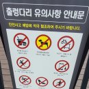 논산 벌곡 카페 카약 무료 체험 후기 + 탑정호 출렁다리 코스 (아이와 나들이)