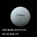 영종진로 이미지