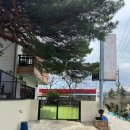 페이지펜션 | 동해 너랑온 애견펜션 - 반려견 조식에 망상 해수욕장까지 조용히 즐긴 숙소