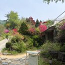 사계절 생태놀이 | 홍천 러스틱라이프 카페 후기｜숲속 정원 감성 카페 + 예약 온실 공간까지 (아이랑 가기 좋아요)