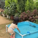 오진아 농촌치유농장 | 포시즌힐링팜] 수원 체험농장에서 동물 먹이주기 감자...체험 후기 수원 아이와 가볼 만한 농촌체험 추천