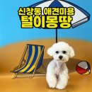 털이몽땅 이미지