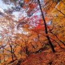 석굴암 천룡도 이미지