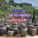 은파랑여행사