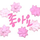 닥터맘 이미지