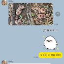 아이리스 스튜디오 웨딩촬영 드레스 피팅 후기!!